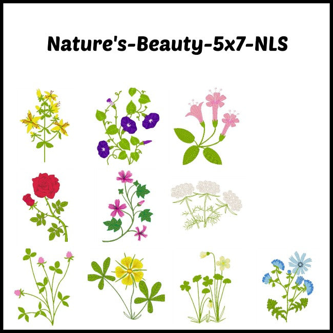 Natures Beauty ATWS-10005