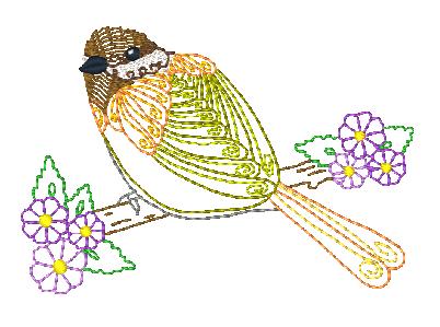 Chickadees ATWS-10378