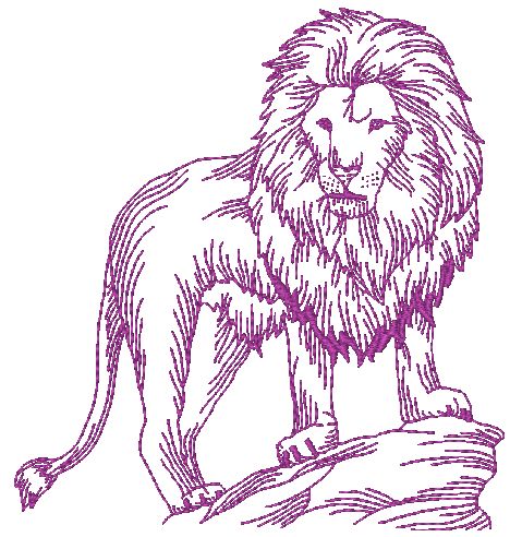 African Felines Lions ATWS-10354