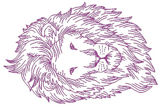 African Felines Lions ATWS-10354