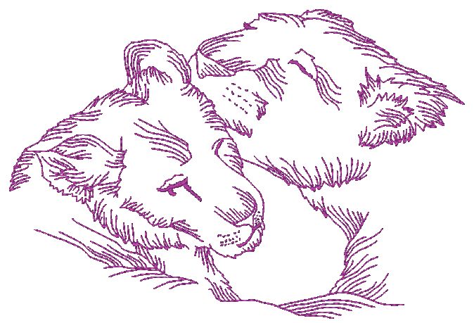 African Felines Lions ATWS-10354