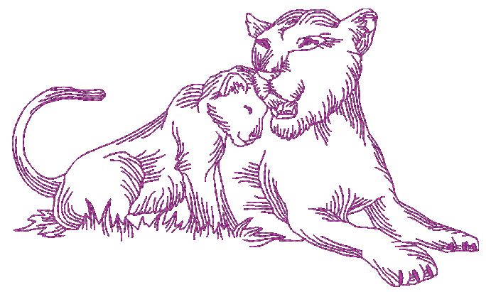 African Felines Lions ATWS-10354