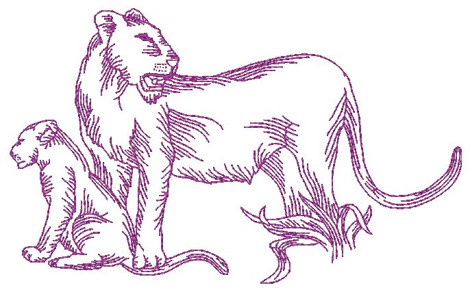 African Felines Lions ATWS-10354