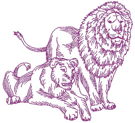 African Felines Lions ATWS-10354