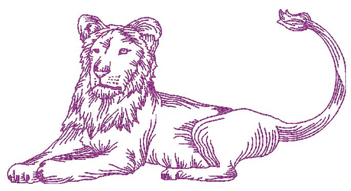 African Felines Lions ATWS-10354