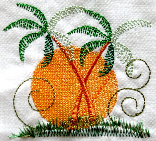 Barefoot In The Sand ATWS-10223 BD07