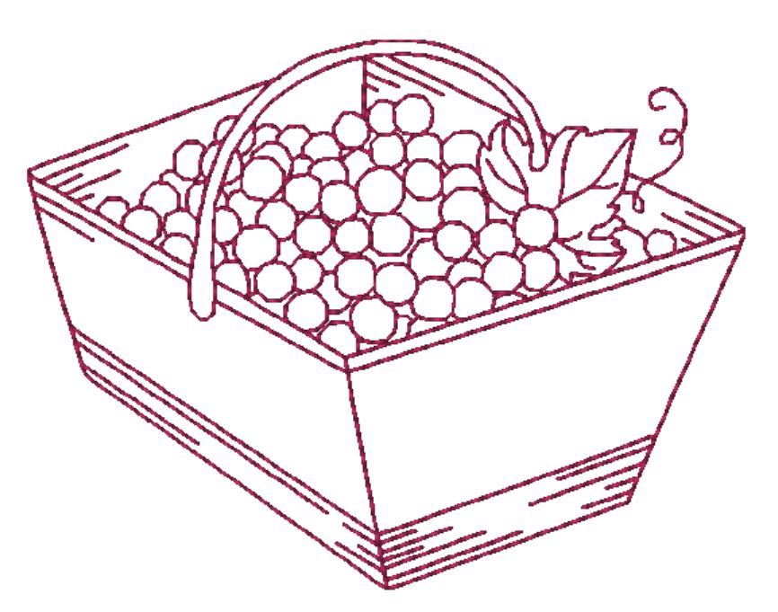 About Wine and Vineyards ATWS-10306