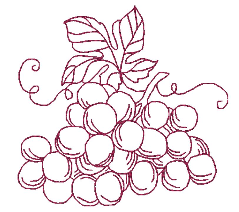 About Wine and Vineyards ATWS-10306
