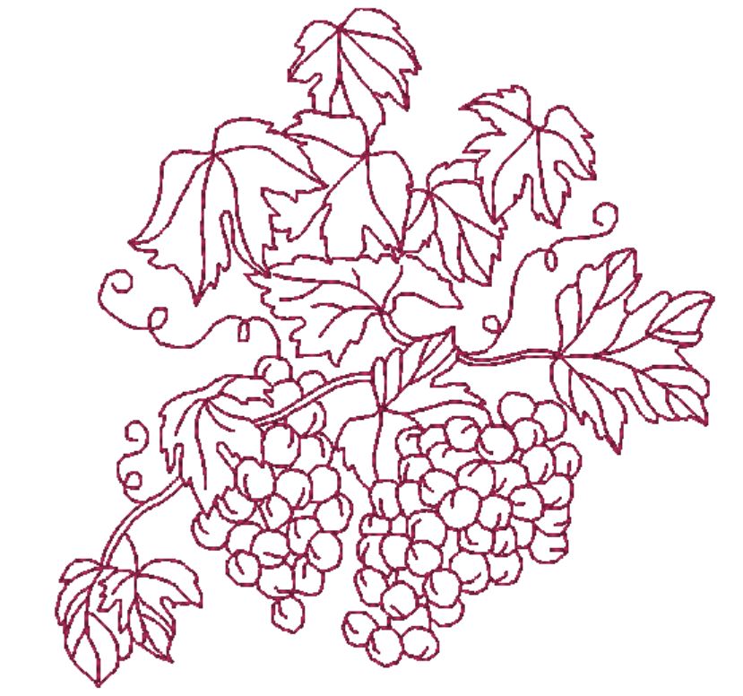 About Wine and Vineyards ATWS-10306