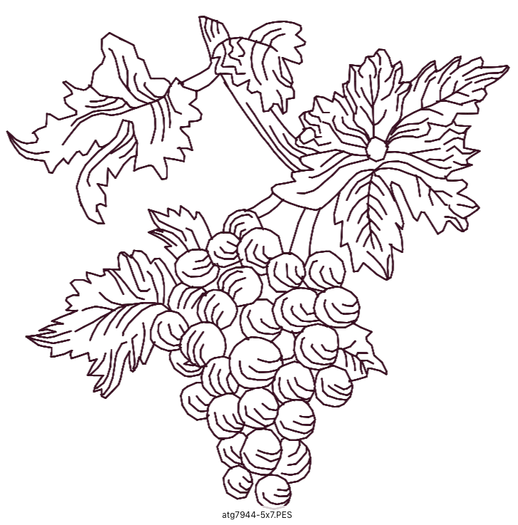A Wine Tasting ATWS-10285