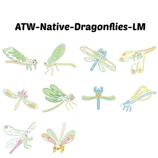 Native Dragonflies  ATWS-10010