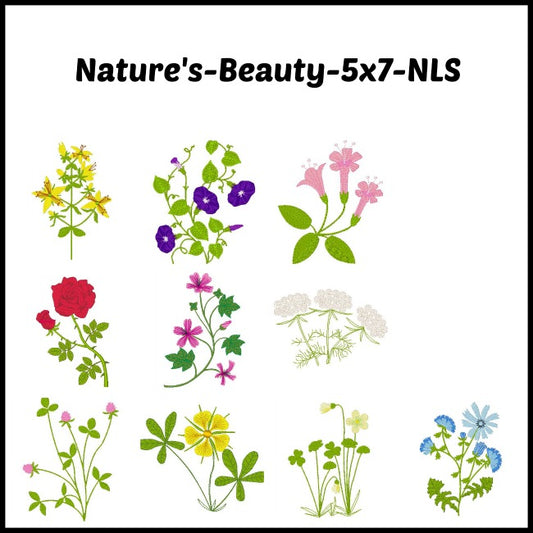 Natures Beauty  ATWS-10005