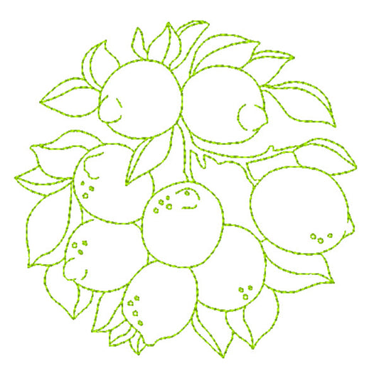 Redwork Fruit Circles [5x7] 11526 Machine Embroidery Designs