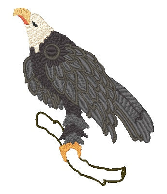 Eagles [4x4 & 5x7] 11756 Machine Embroidery Designs