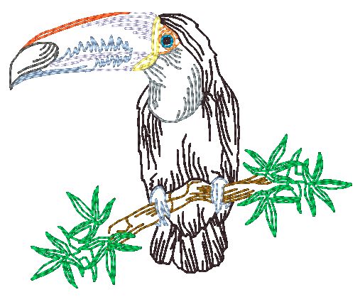 Tropical Toucans  [4x4]  11213 Machine Embroidery Designs