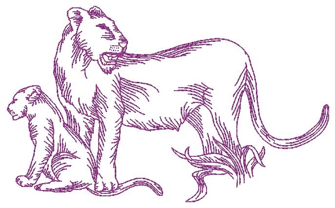 African Felines Lions  ATWS-10354