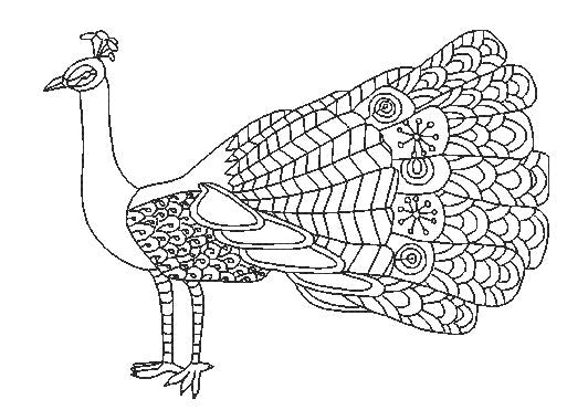 Art Peacocks for Coloring  [5x7] # 10581
