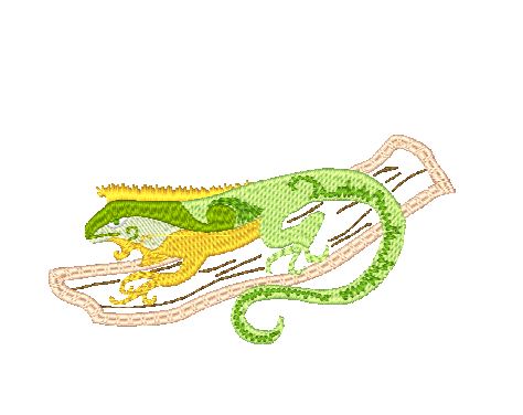 Native Curly Geckos-FLC [4x4] 11682  Machine Embroidery Designs