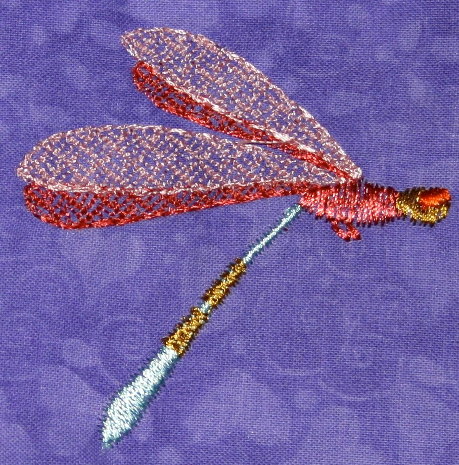 Dawn Patrol Dragonflies  ATWS-10258