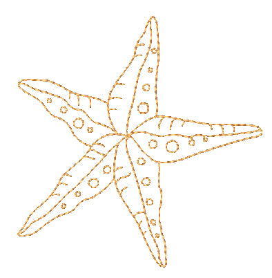 Redwork Snails Seashells and Starfish [4x4] 11501 Machine Embroidery Designs