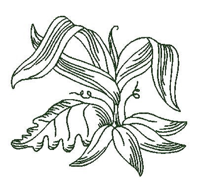 Lovely Leaves [4x4] 11231  Machine Embroidery Designs