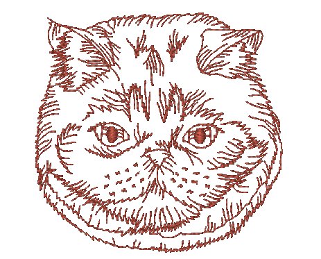 CAT SERIES Exotic Shorthair [4x4 & 5x7] 11805  Machine Embroidery Designs