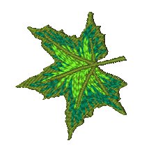Leaves of Stowe [4x4] 11535 Machine Embroidery Designs