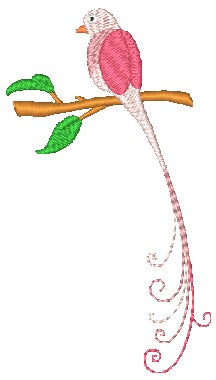 More Curly Birds [Mixed 4x4 & 5x7] 11554 Machine Embroidery Designs